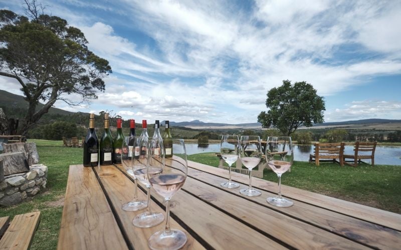 AfriCamps-StanfordHills-Wine